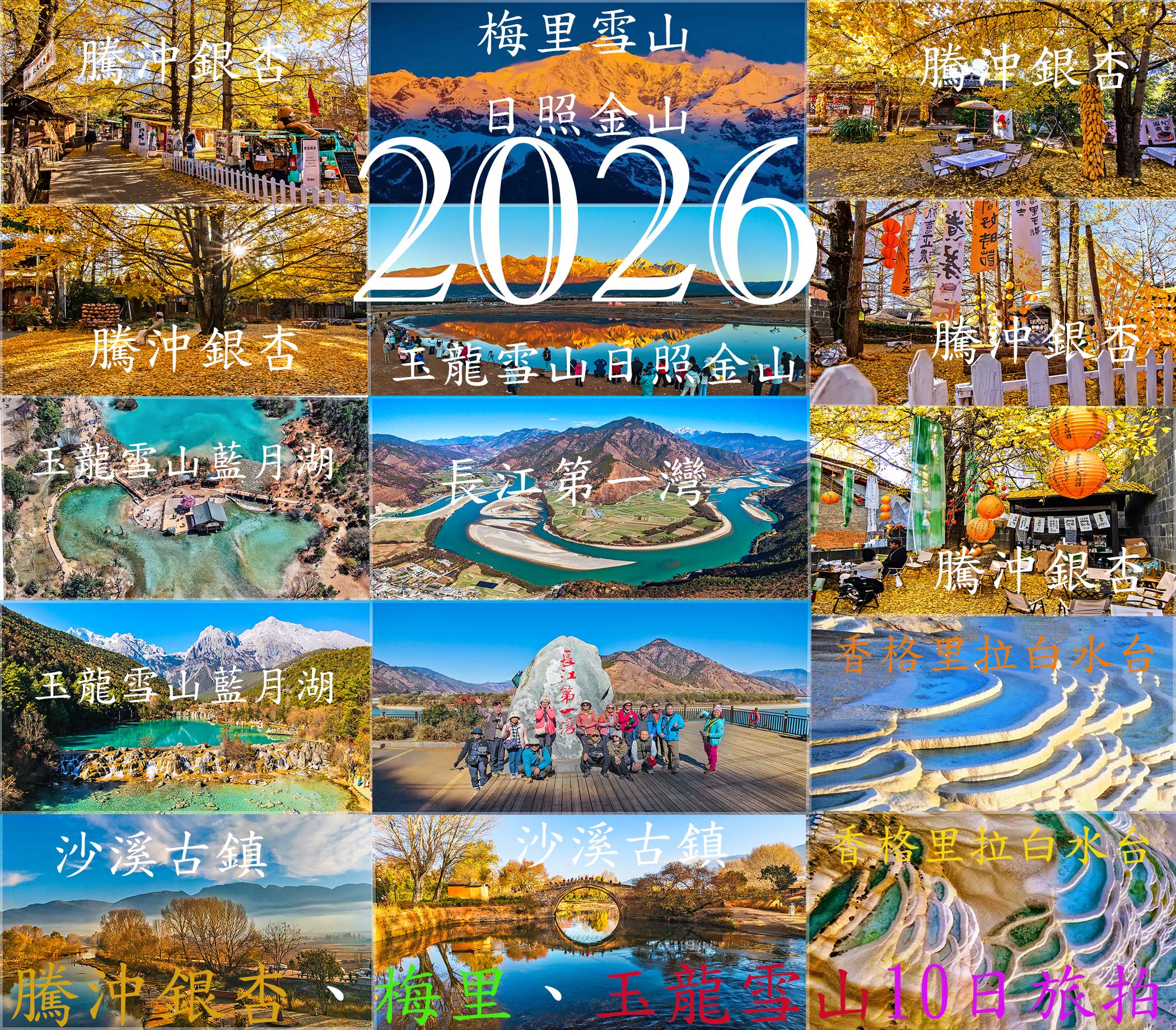 2026雲南騰沖銀杏