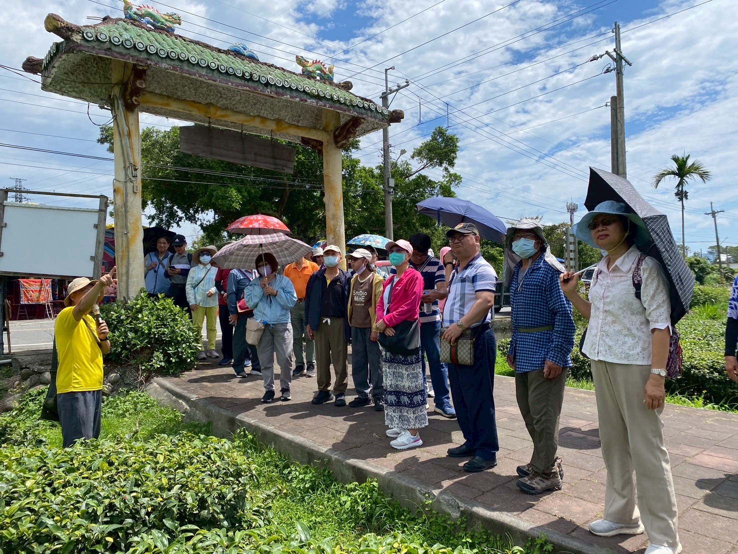 2026桐花祭-花現