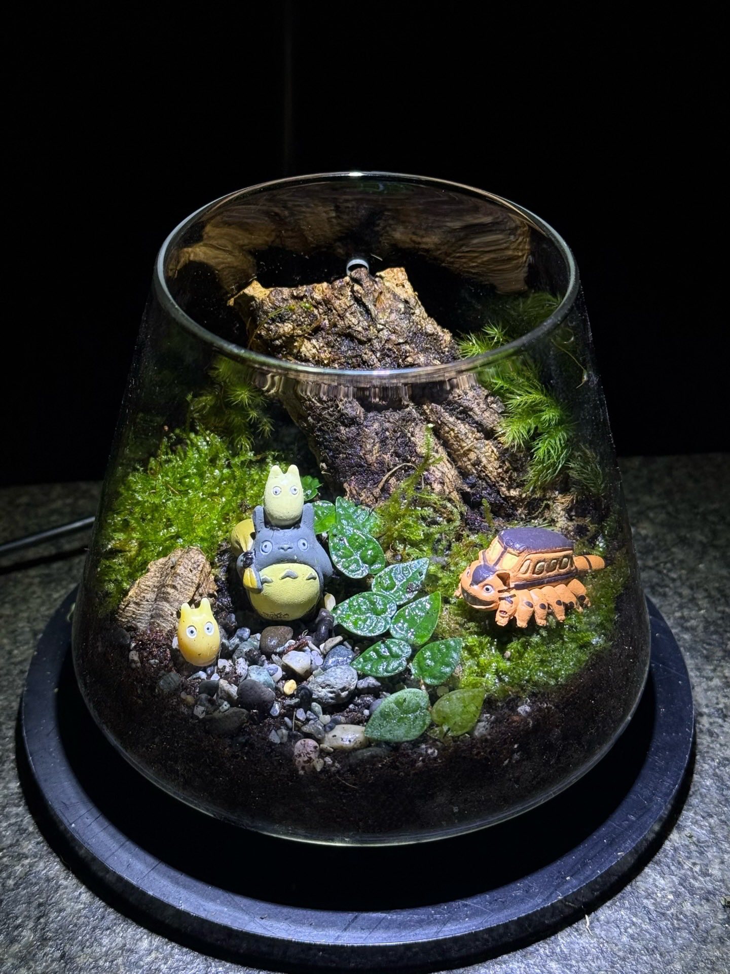 療癒苔蘚生態瓶體驗課程