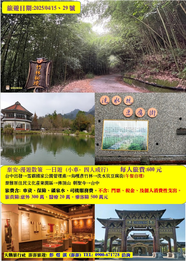 泰安-漫遊散策 竹林