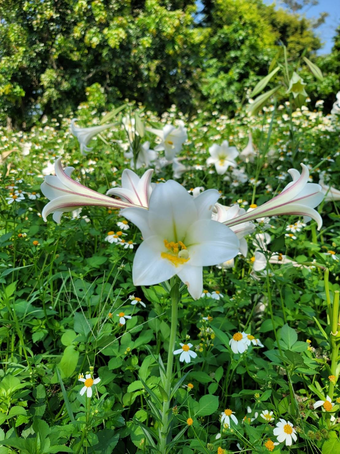 《2026 春學季沙