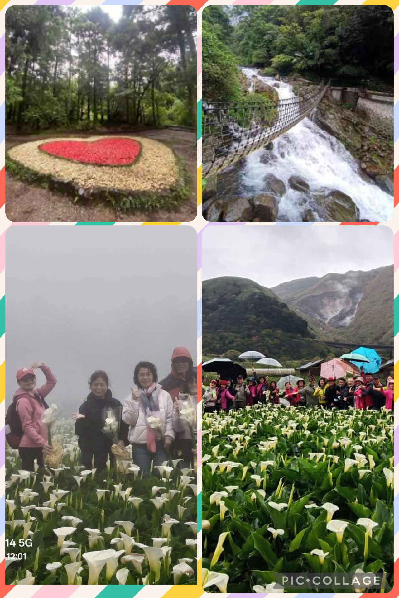 陽明山祕境～竹子湖海