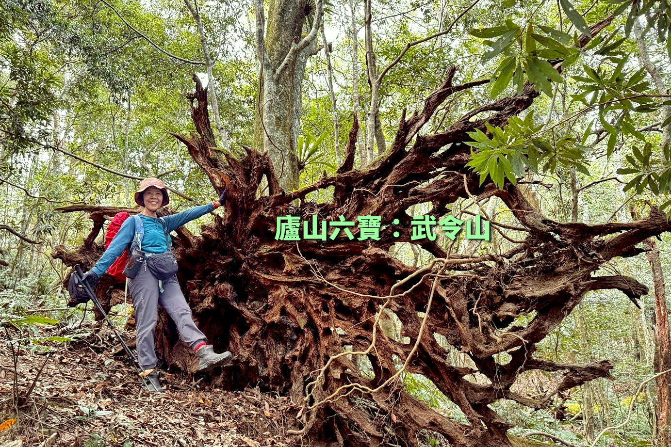 【台中市健康登山協會