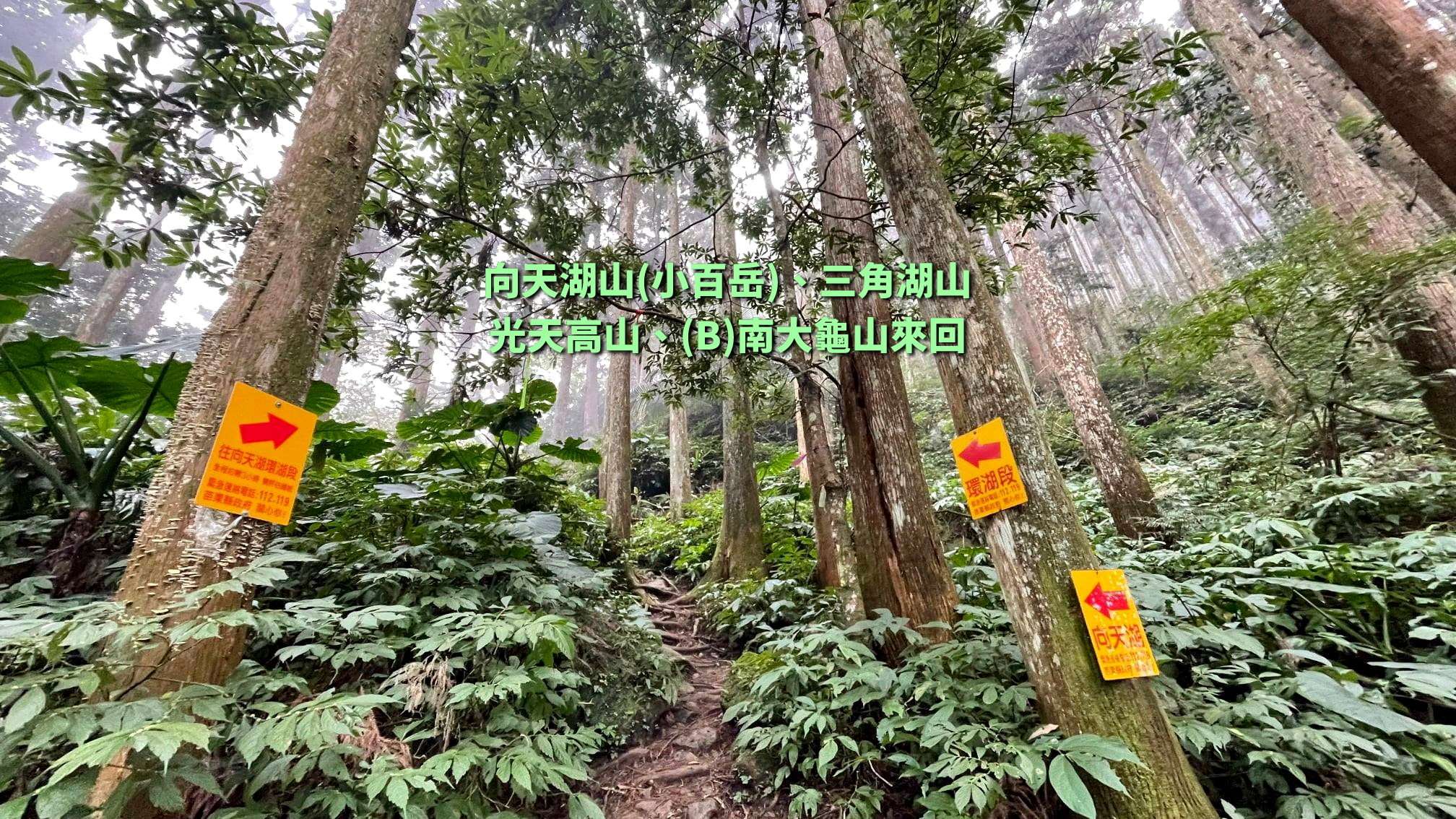 【台中市健康登山協會