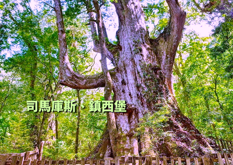 【台中市健康登山協會