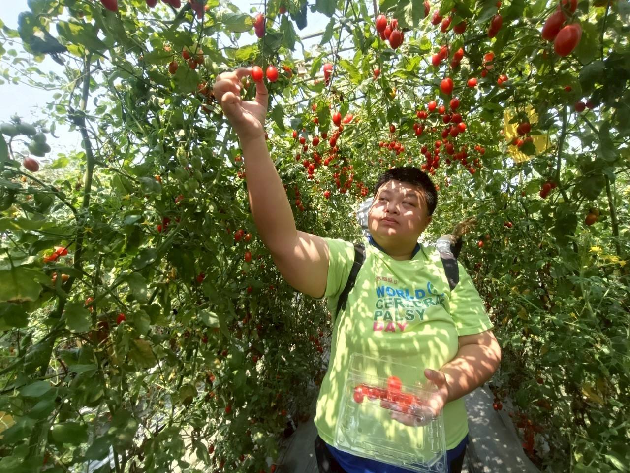 【2026美濃田野趣