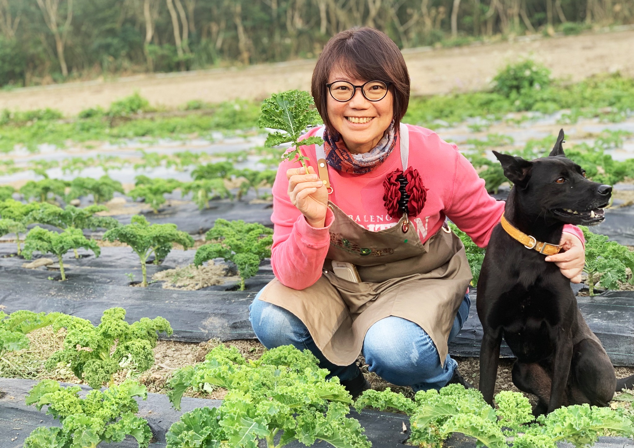 跟著農夫綠鑽鬧