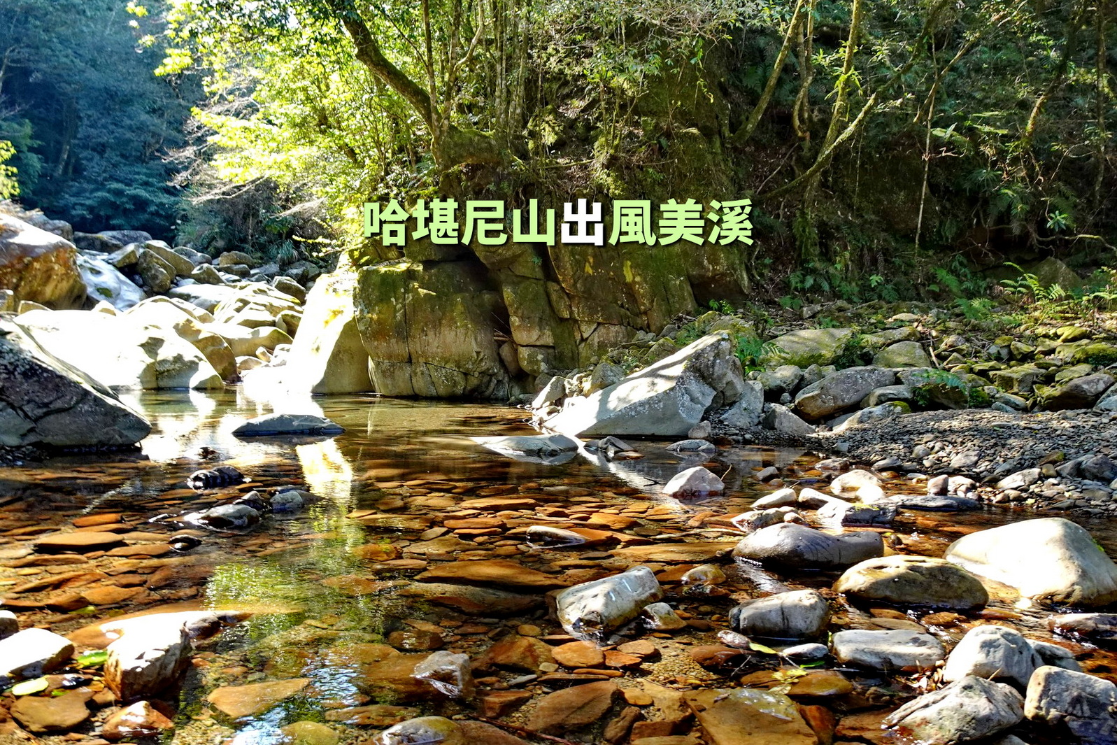 【台中市健康登山協會