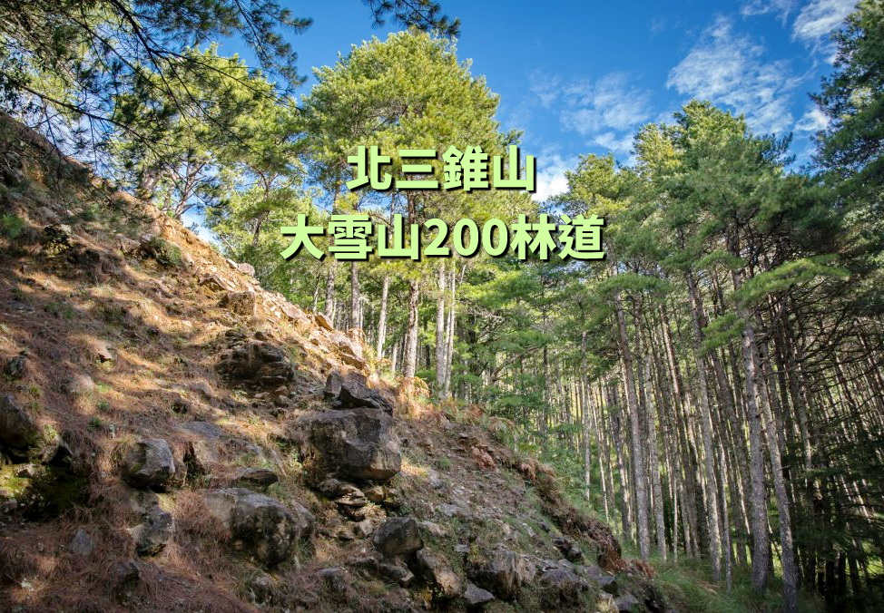 【台中市健康登山協會