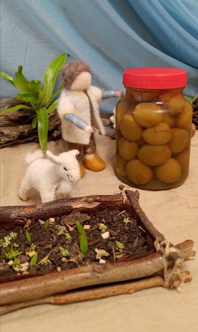 來做一罐春天限定的「