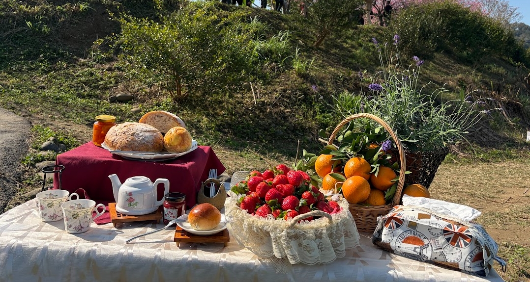 2026美里庄餐桌計