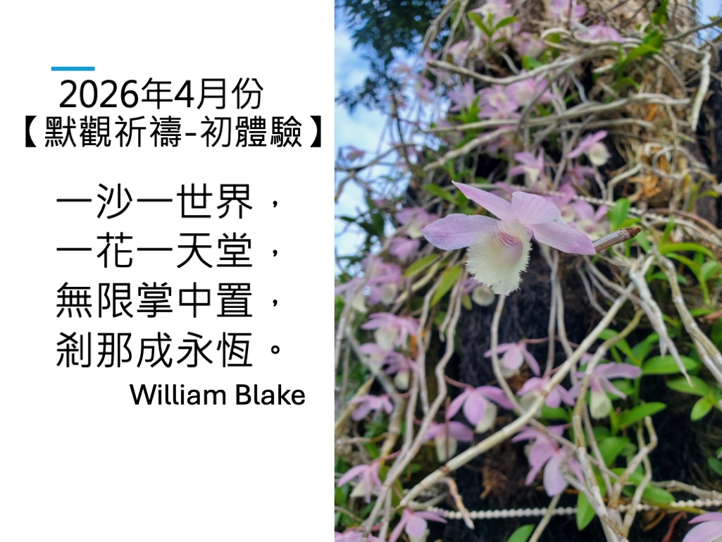 2026年4月嘉義地
