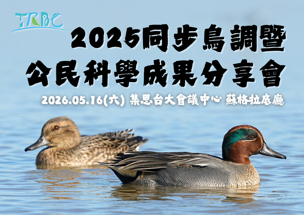 2026淡水河流域同