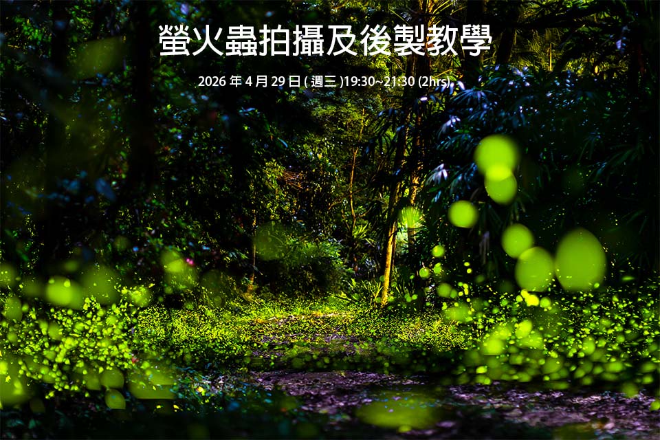 04.29 螢火蟲拍