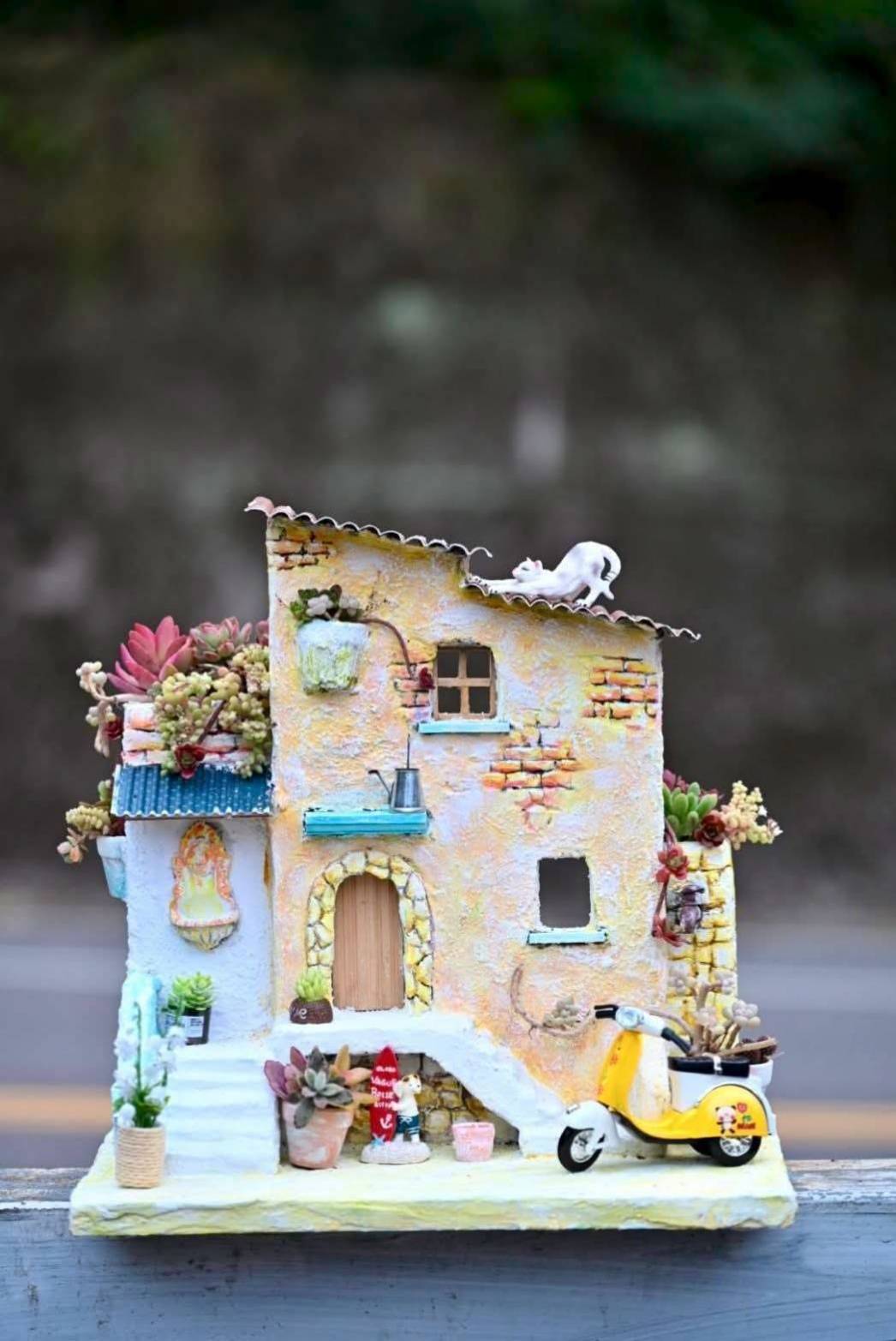 🌿【荳荳多肉手作農場