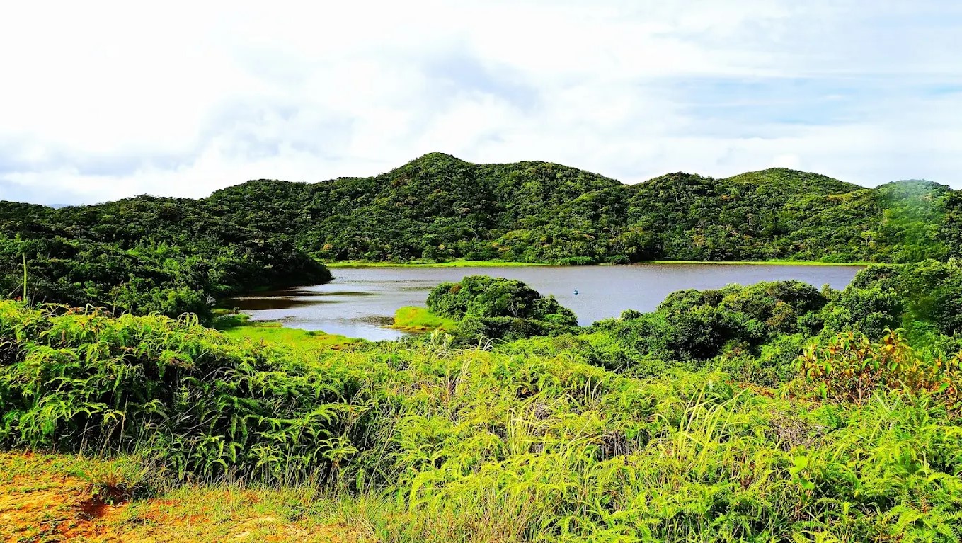 屏警登山會115年南