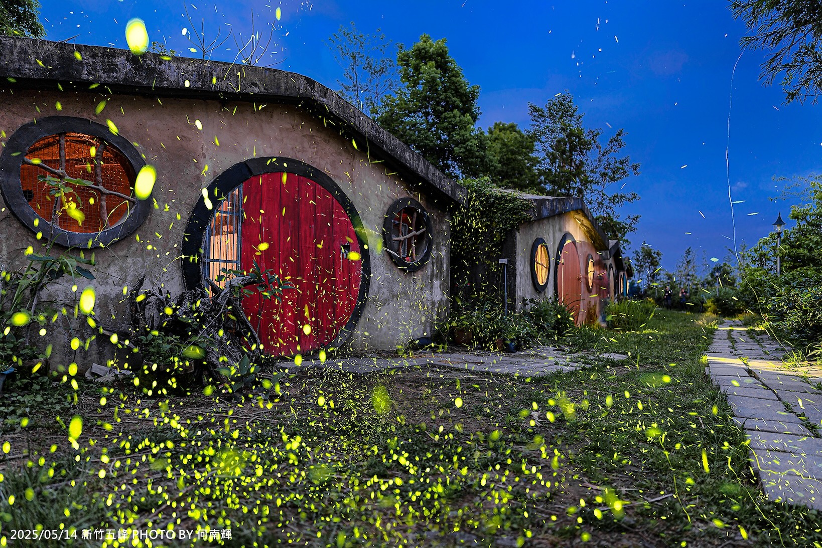 螢火蟲外拍～夢幻綠光