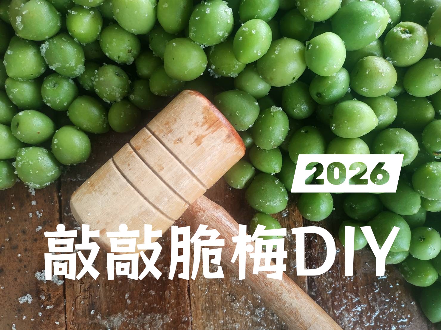 2026 天御梅製所