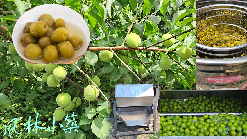 （4月28日出）風林