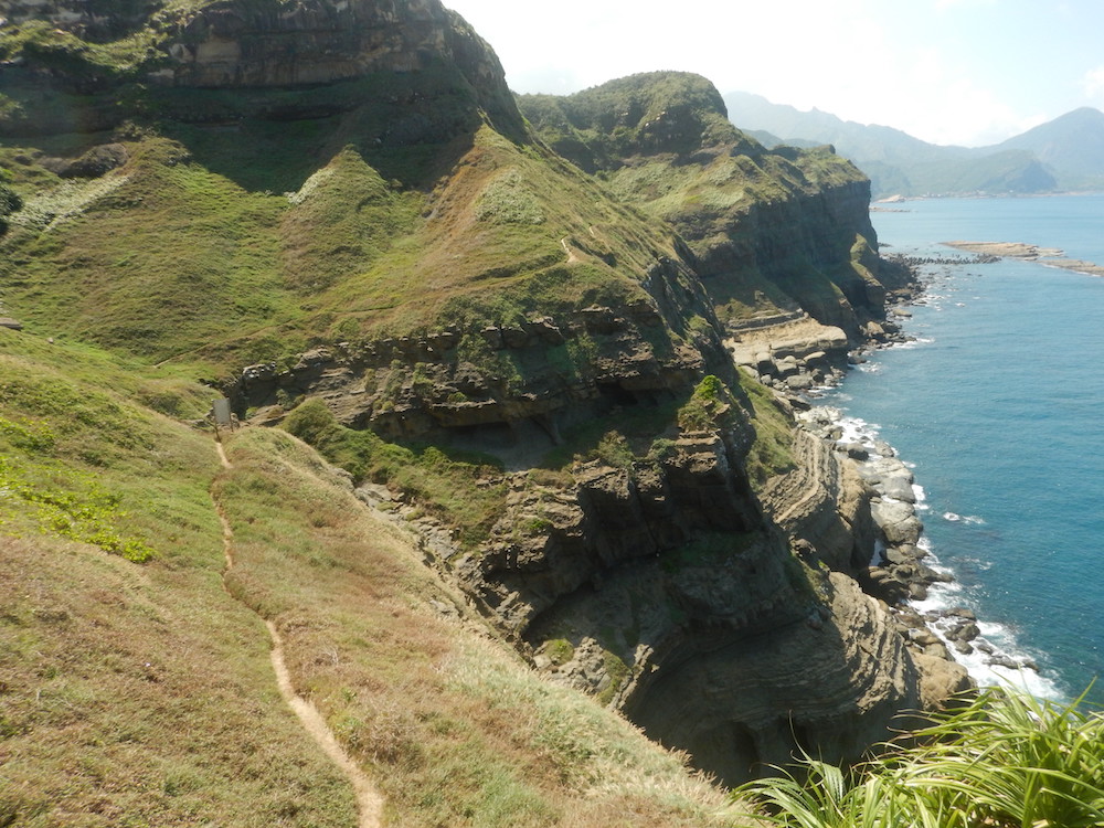 2026野孩子森林學