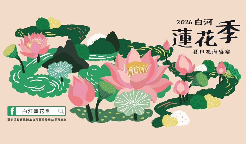 夏日踏訪-蓮鄉漫遊