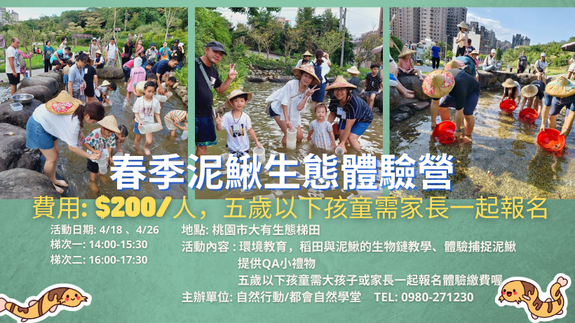 春季泥鰍生態體驗營