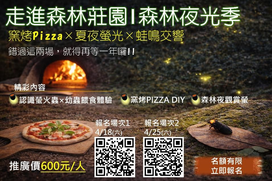 走進森林莊園_森林夜