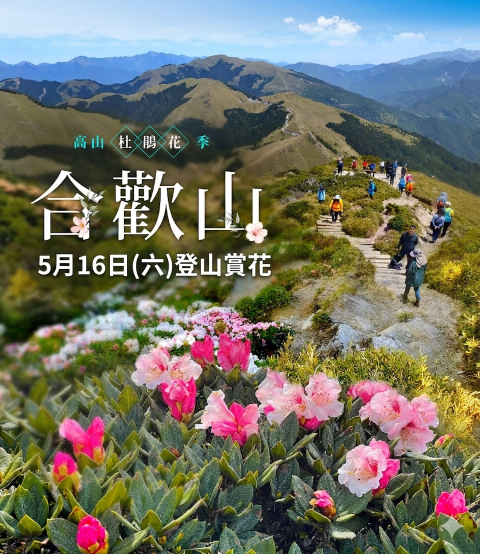 合歡山杜鵑花季-登山