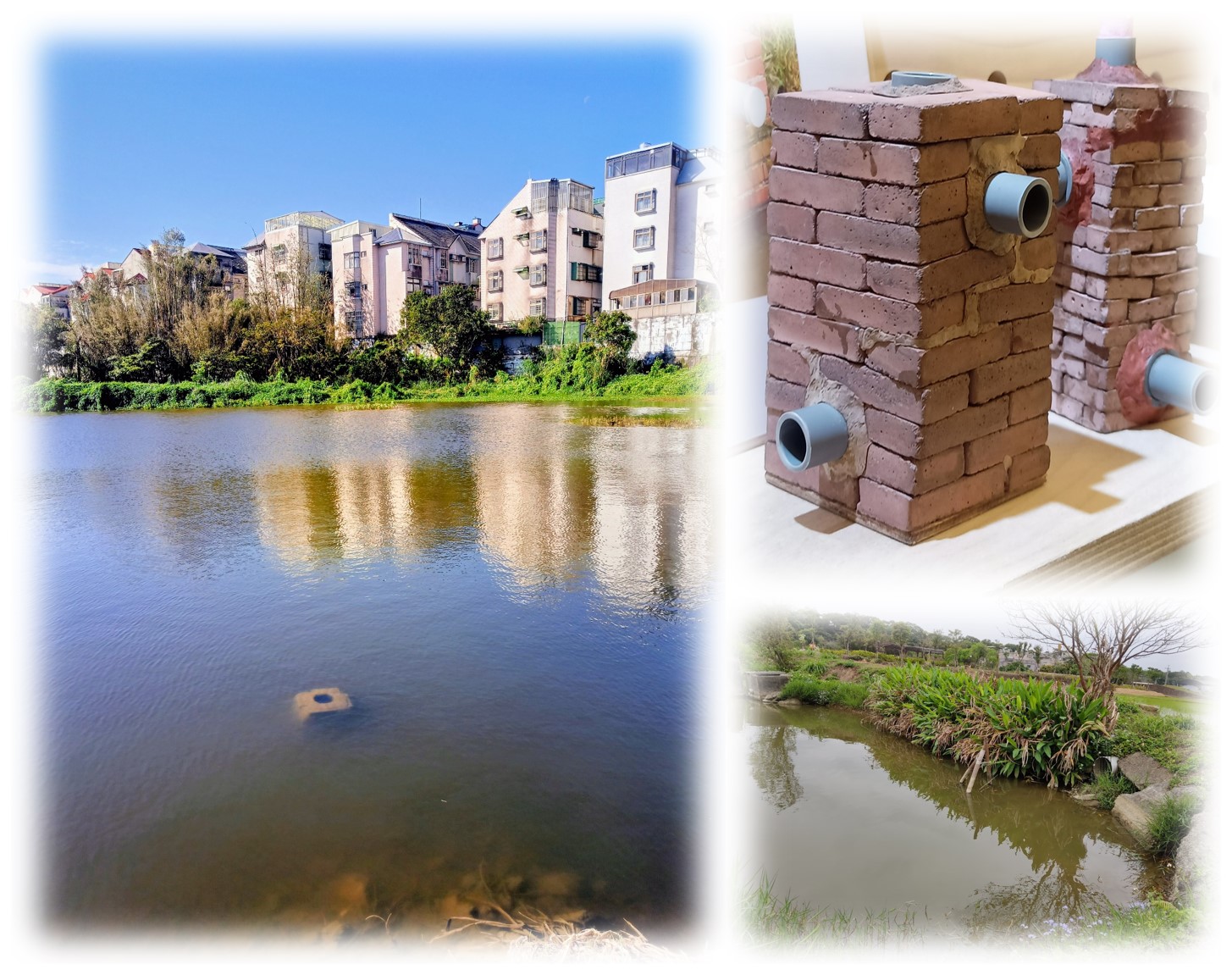 1150502樂齡行腳龍潭走讀3