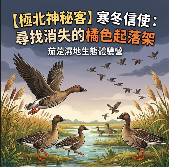 2026茄萣濕地夏令營第一梯
