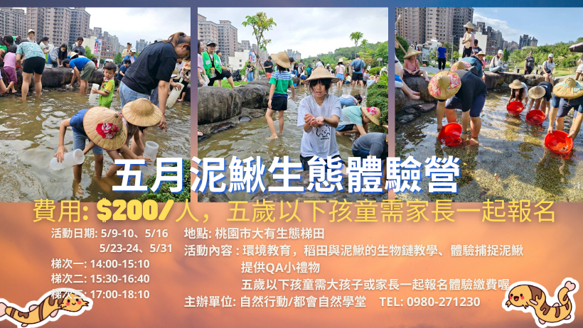 五月泥鰍生態體驗營