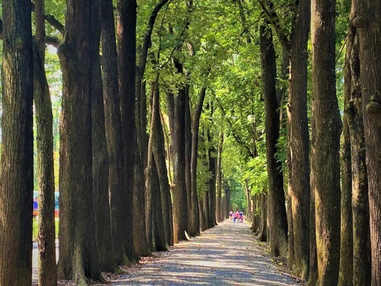 115051723尋蹤神祕岩雕：萬山部落文化深度之旅