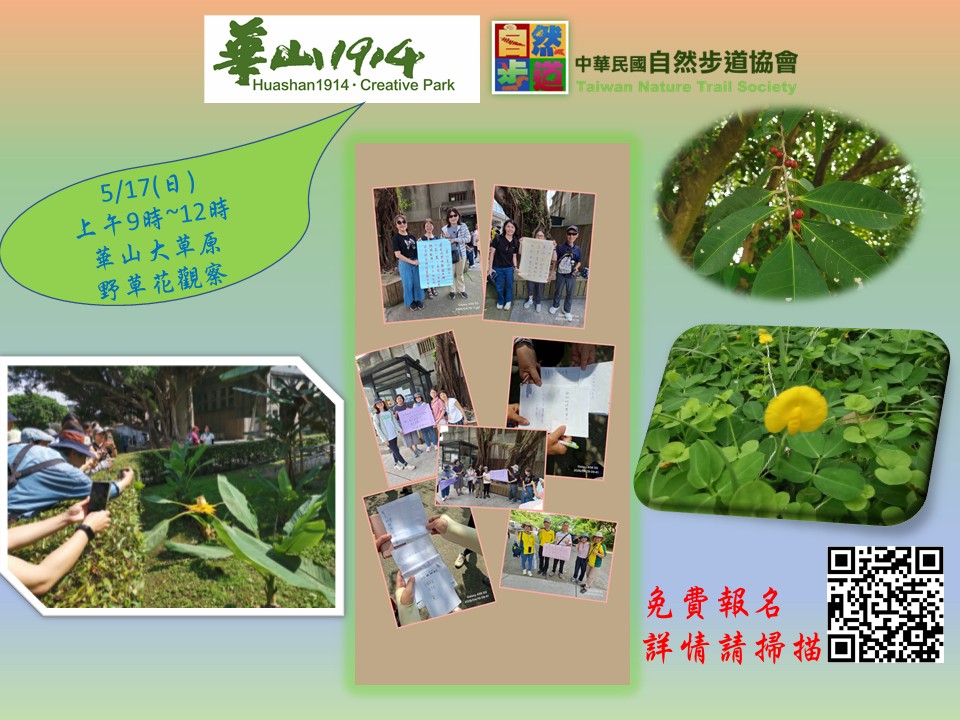 華山綠意~華山大草原野草花觀察