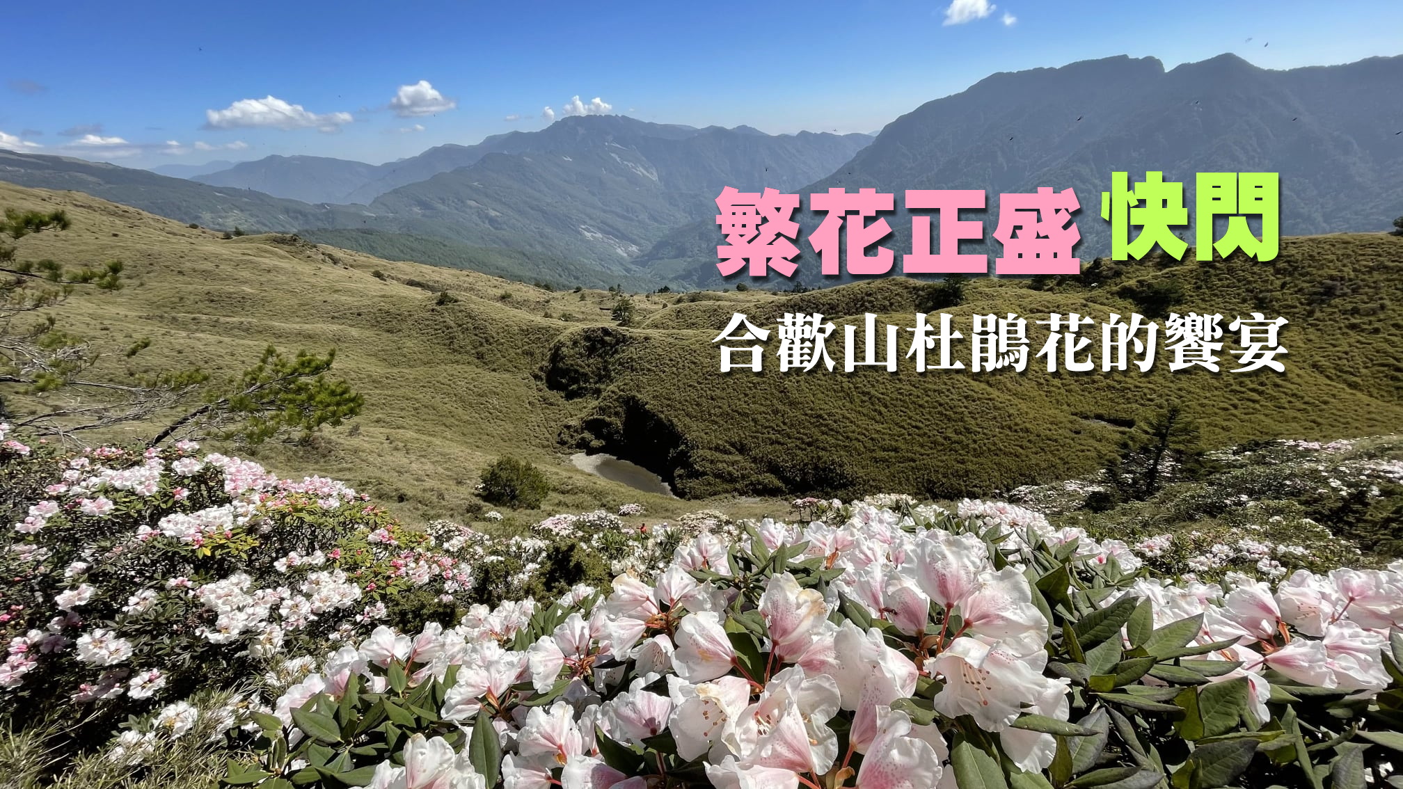 【台中市健康登山協會