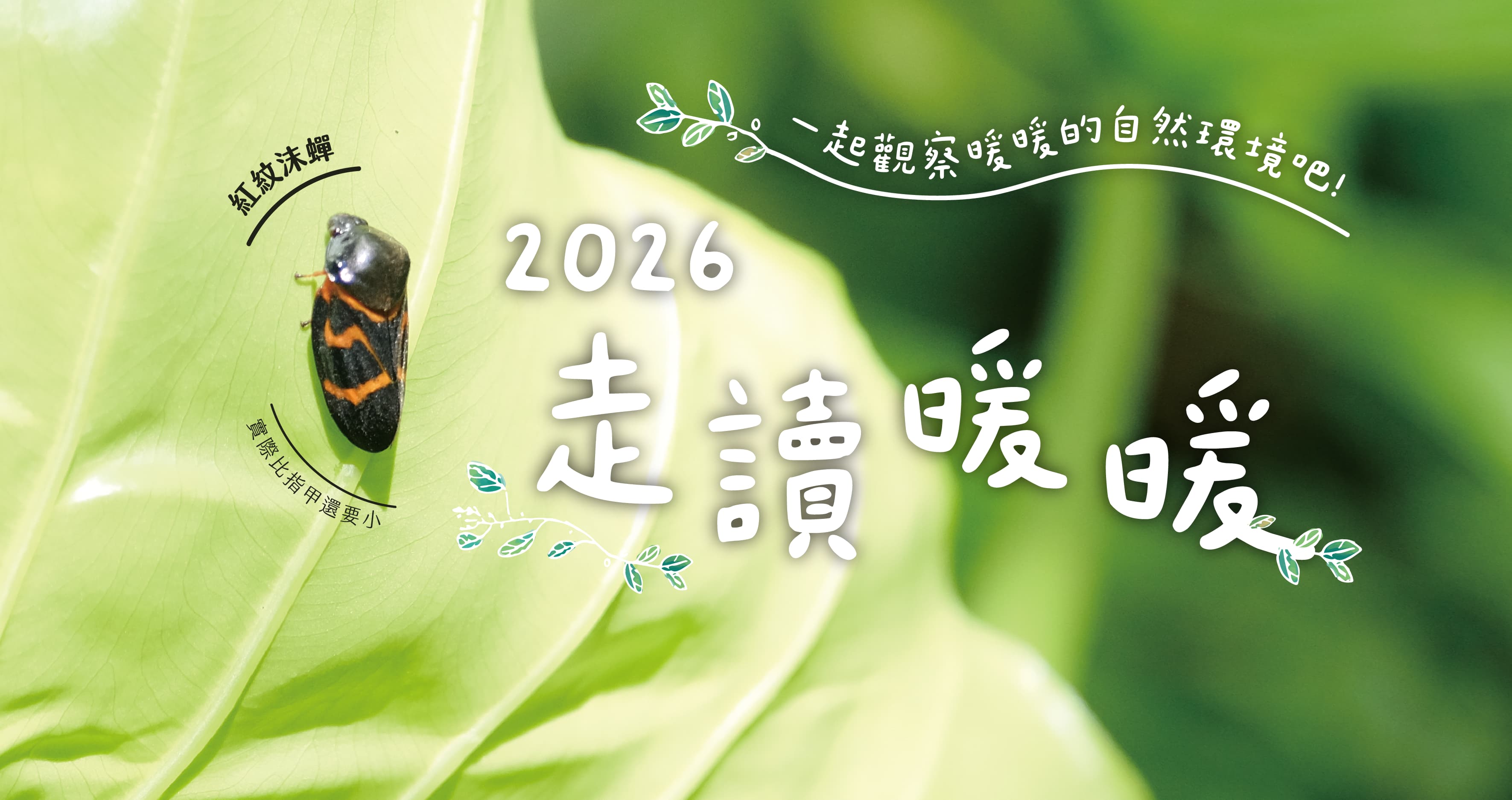 2026 走讀暖暖 