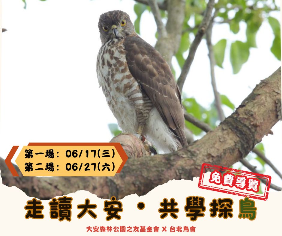 2026 走讀大安 