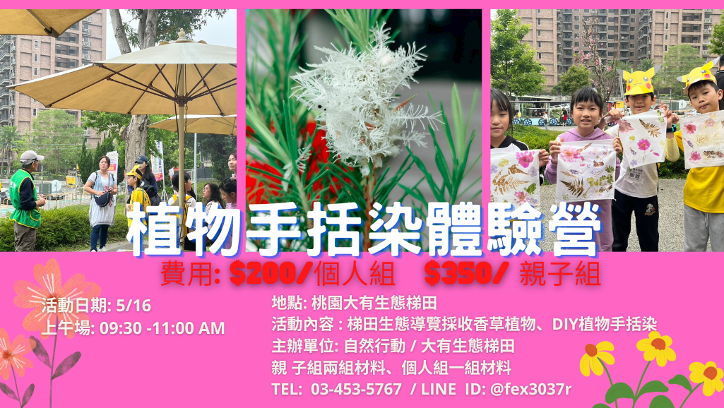 植物手拓染體驗營