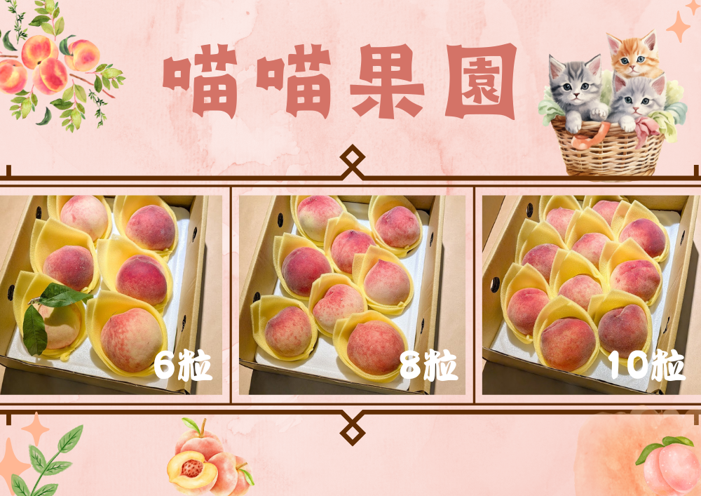 喵喵果園｜五月桃訂購