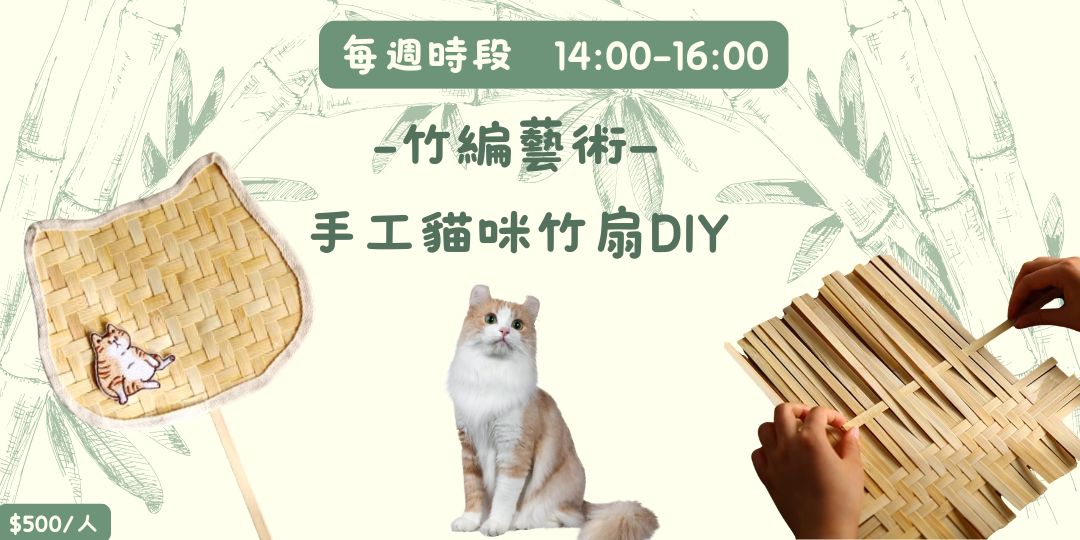 115年8月每週五 