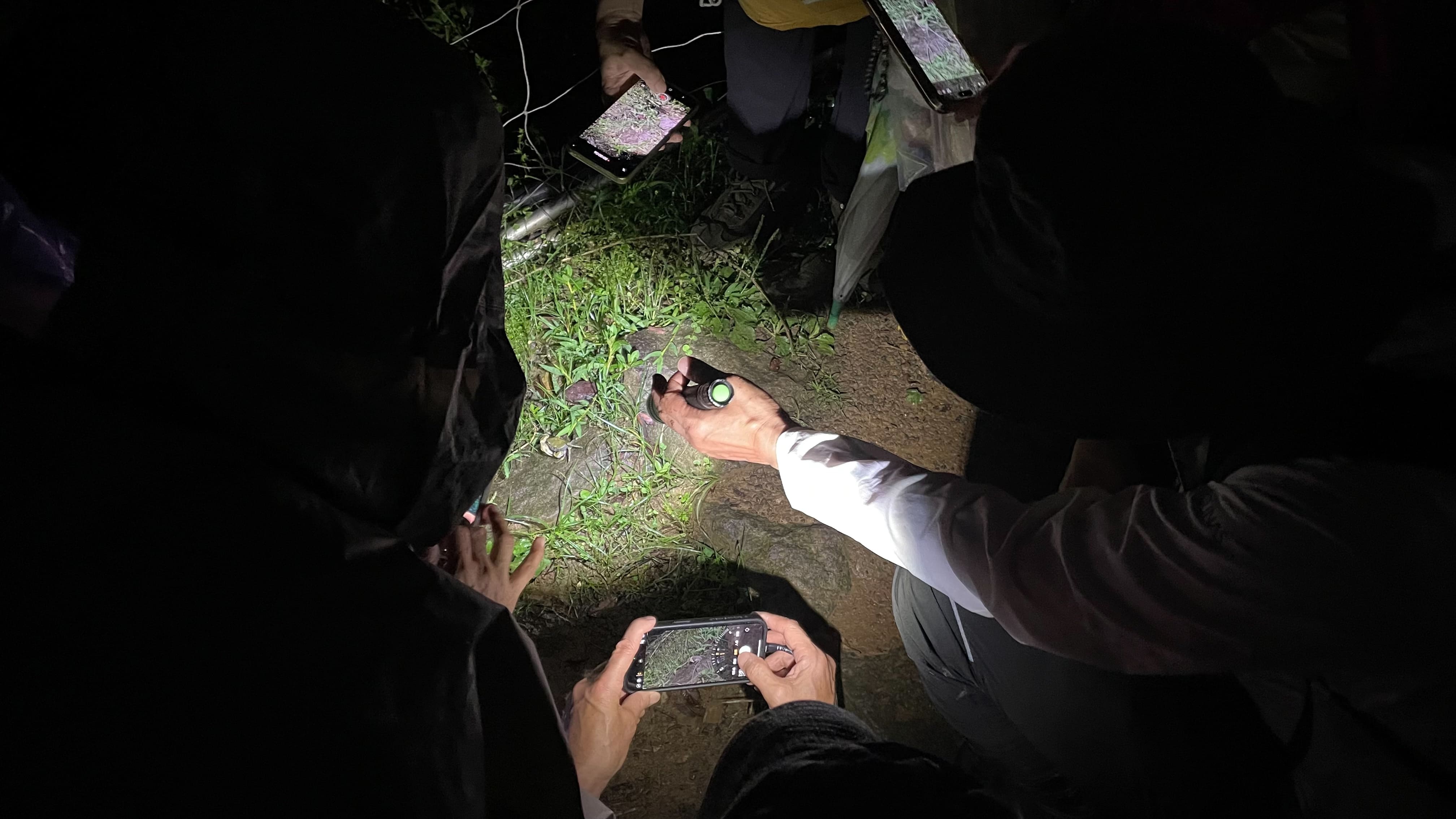 2026年「夜觀俱樂