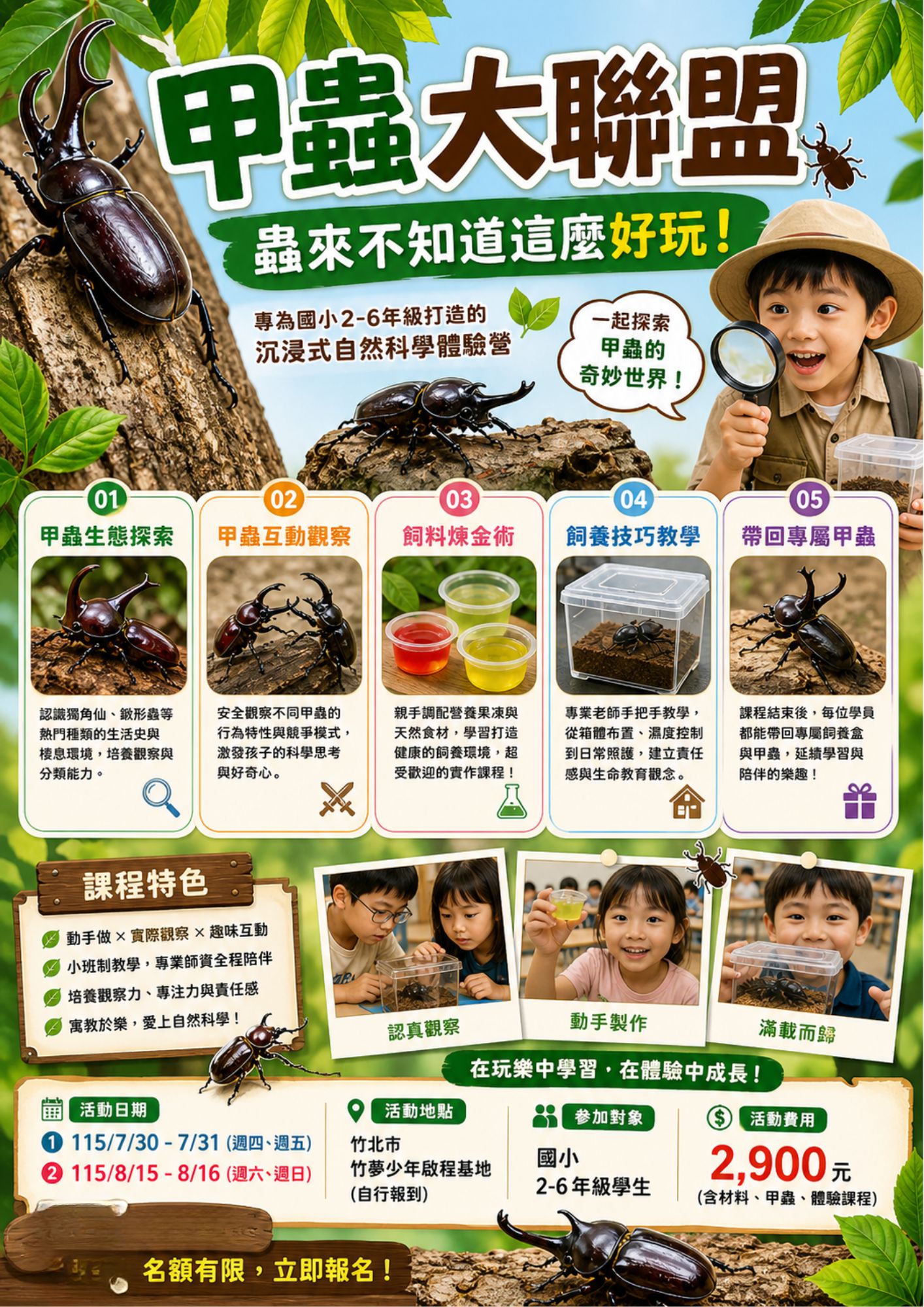 甲蟲大聯盟~蟲來不知道這麼好玩