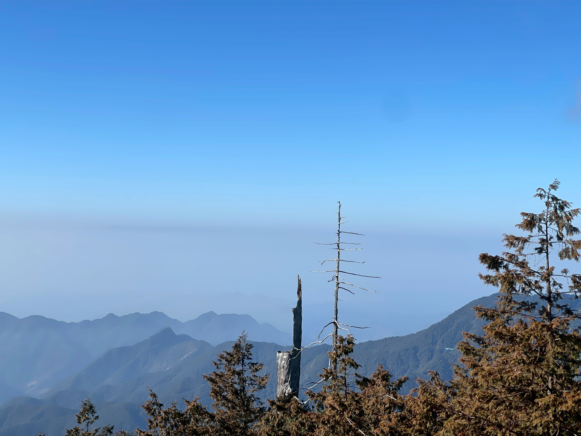 大雪山森活成長營