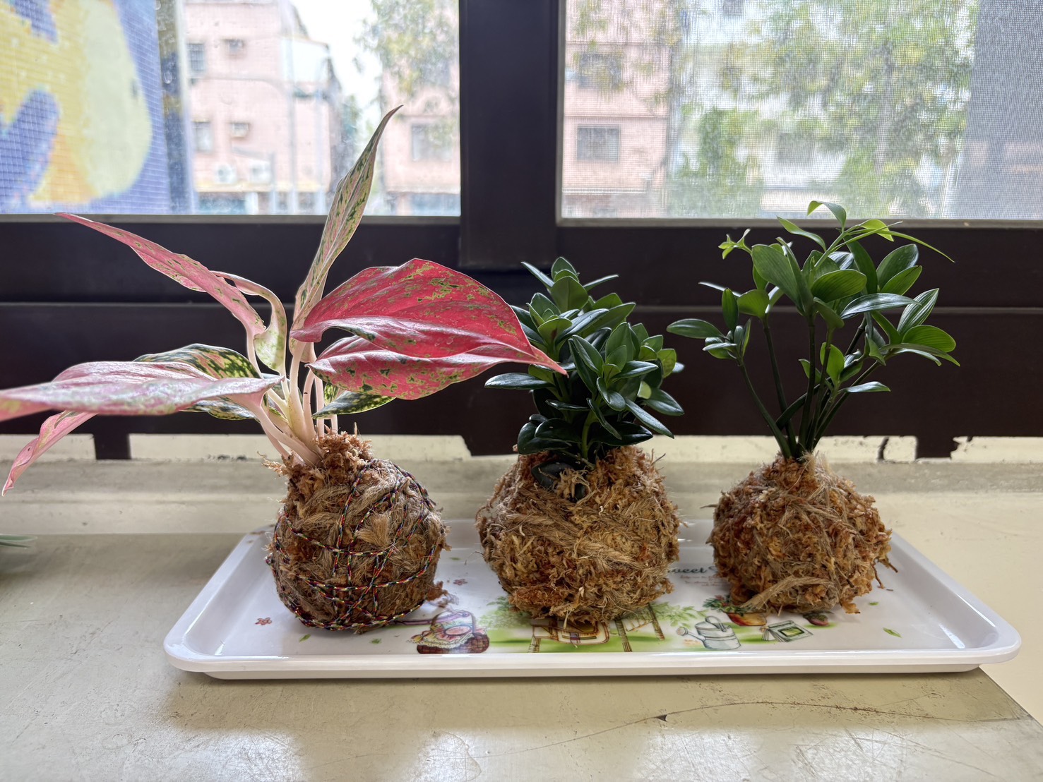 【閔惠老師說故事-花