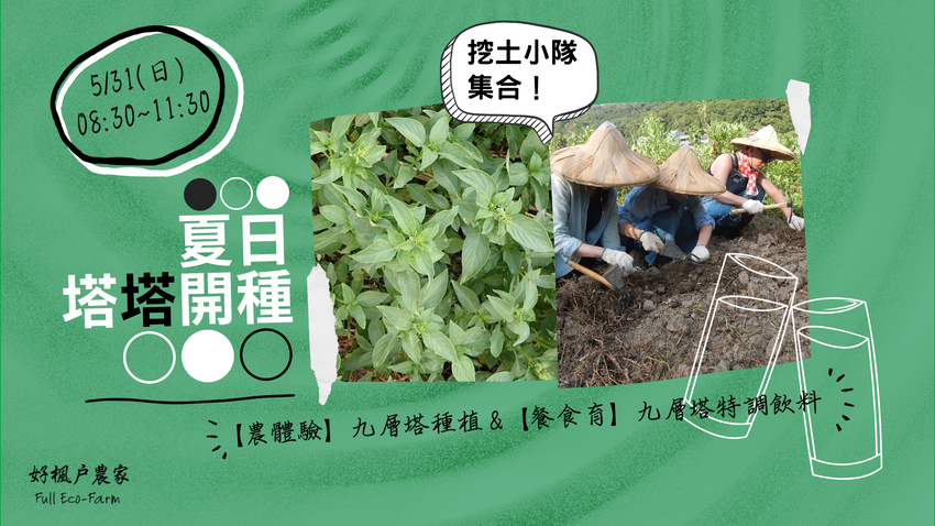 夏日塔塔開種-【農體