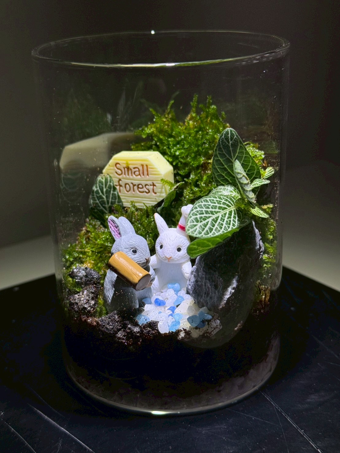 療癒苔蘚生態瓶體驗課程-K6