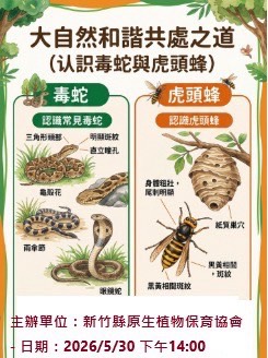大自然和諧共處之道  (認識毒蛇與虎頭蜂)