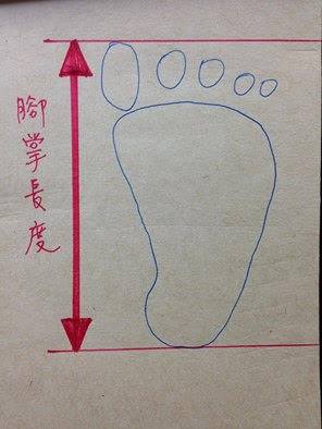 駱駝山協親子獨木舟活