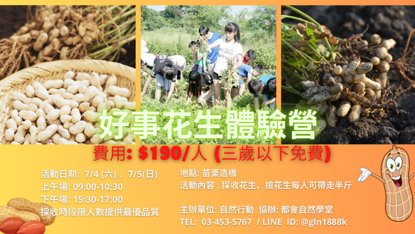 苗栗造橋好事花生體驗
