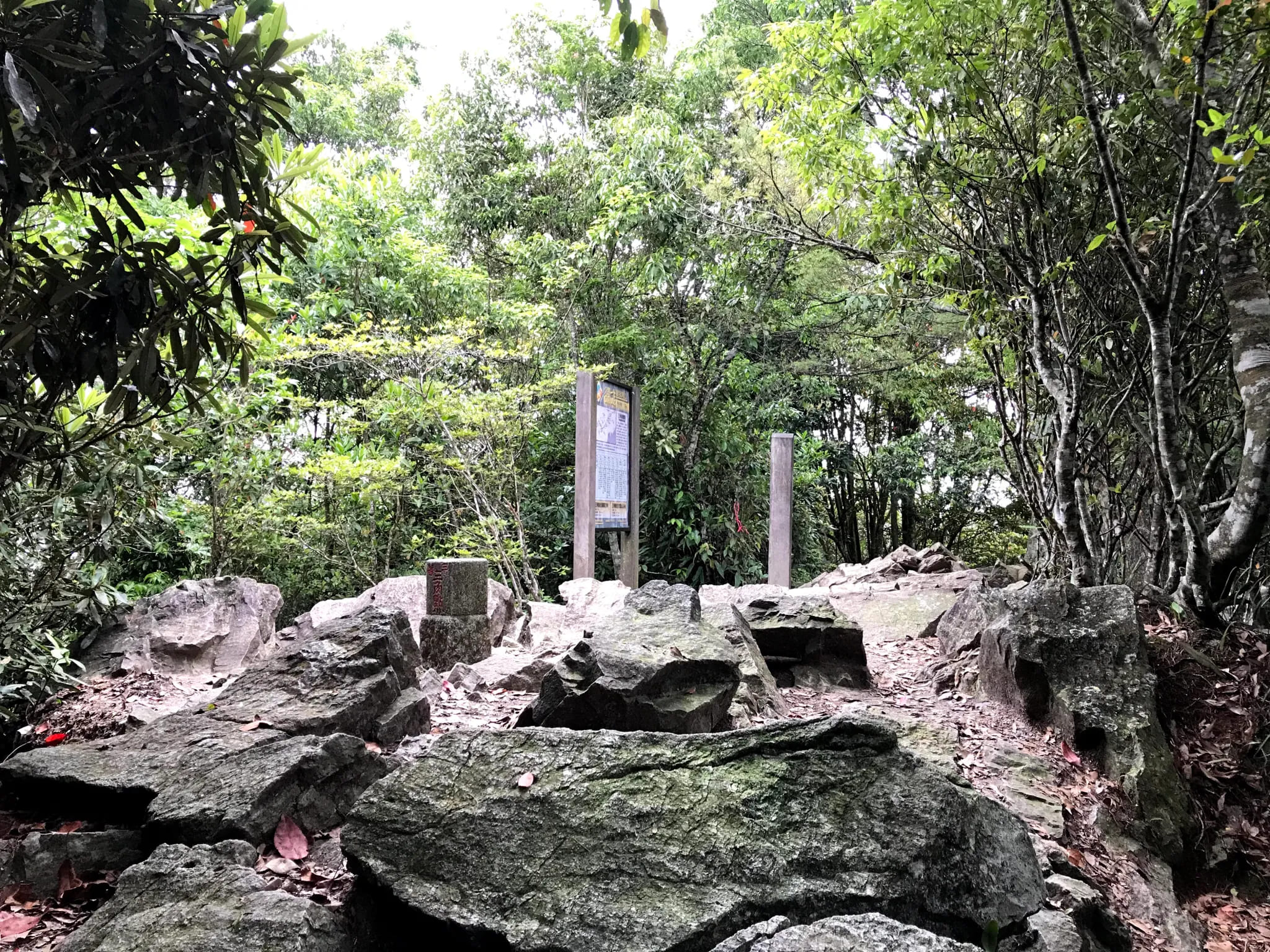 2026/08/01 谷關七雄老三 屋我尾山(大雪山林道來回)