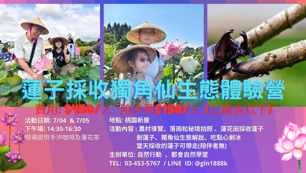 蓮子採收獨角仙生態體